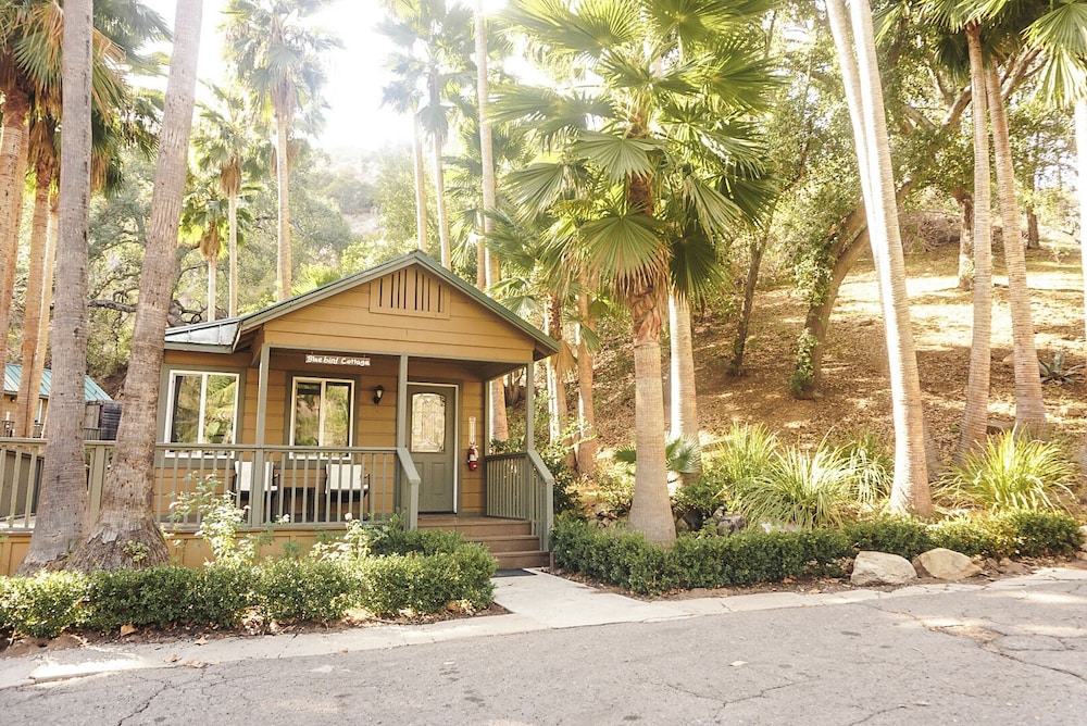 Bluebird Cottage photo 3
