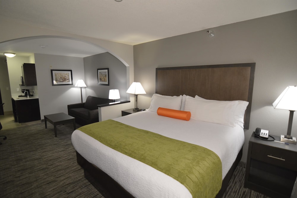 Suite, 1 King Bed with Sofa bed, Non Smoking, Kitchenette (with Sofabed)