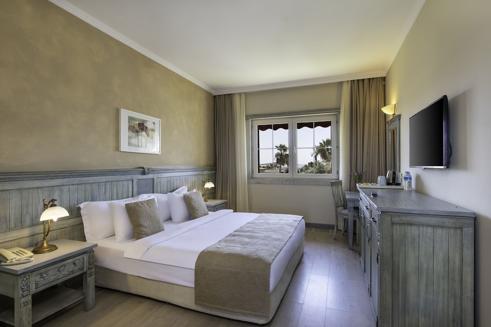 Deluxe Double or Twin Room, Garden View photo 3