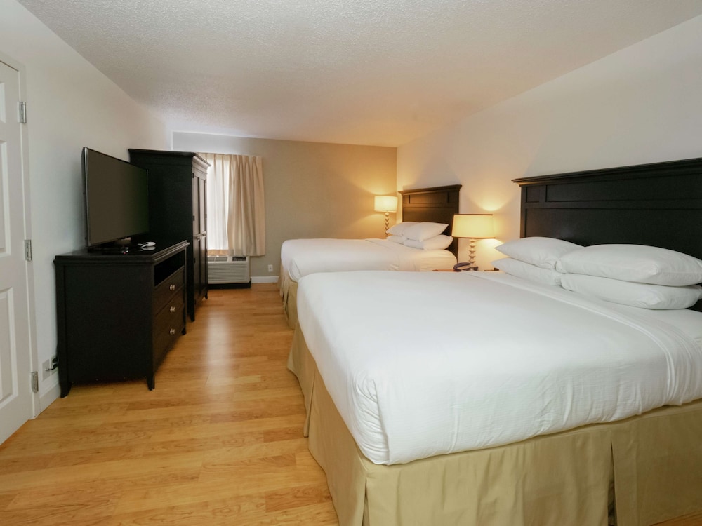 Suite, 2 Queen Beds, Kitchenette - Photo 3