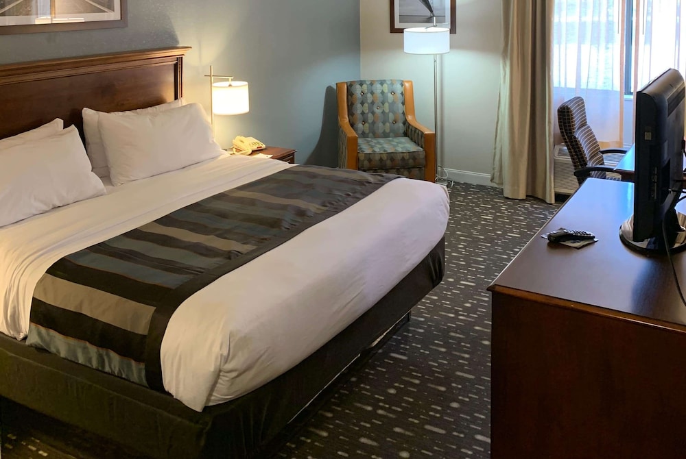 Standard Studio Suite, 1 King Bed with Sofa bed, Accessible (Mobility/Hearing Accessible) - Photo 1