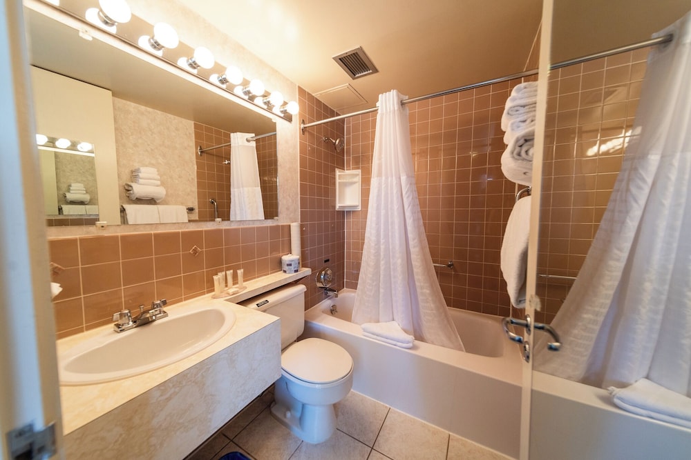 Premium Room, 1 King Bed, River View photo 3
