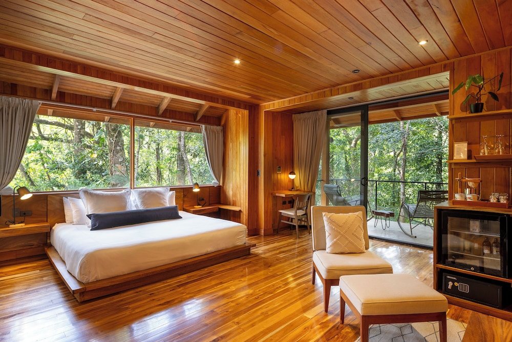 Cloud Forest Studio