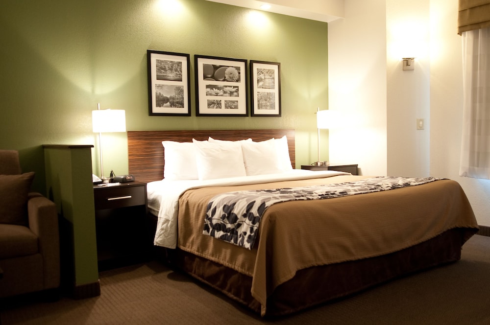 Suite, 1 King Bed with Sofa bed, Non Smoking - Photo 4