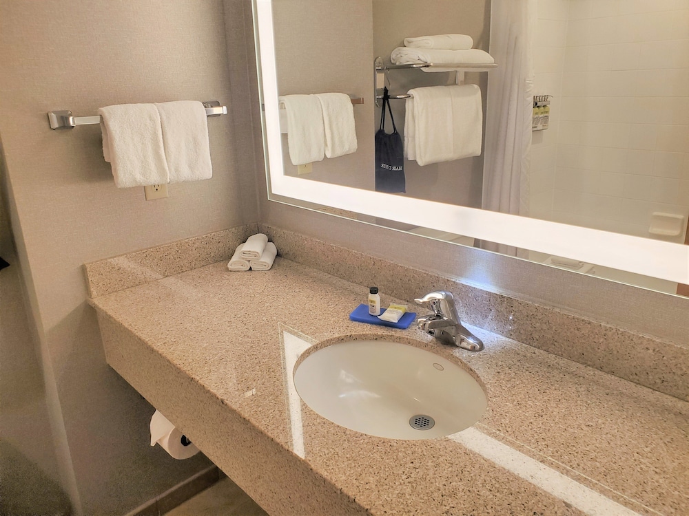 Suite, 1 King Bed, Accessible (Roll-In Shower) - Photo 6