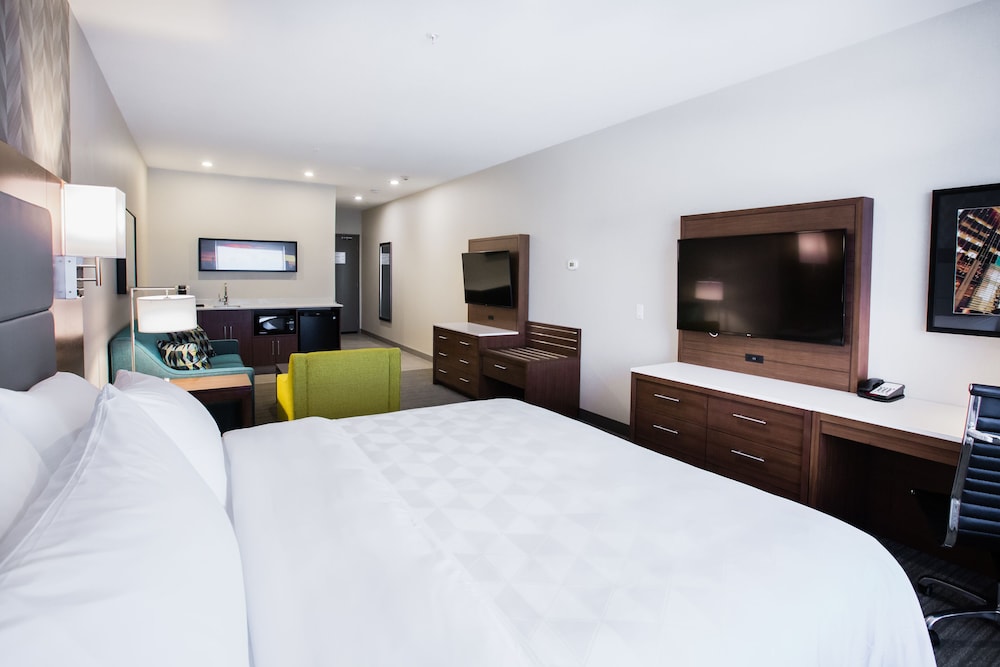 Suite, 1 King Bed (Walk-In Shower)