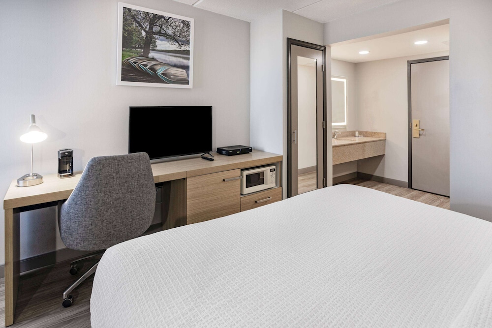 Room, 1 King Bed, Accessible, Non Smoking (Mobility, Walk-In Shower W/ Grab Bars)