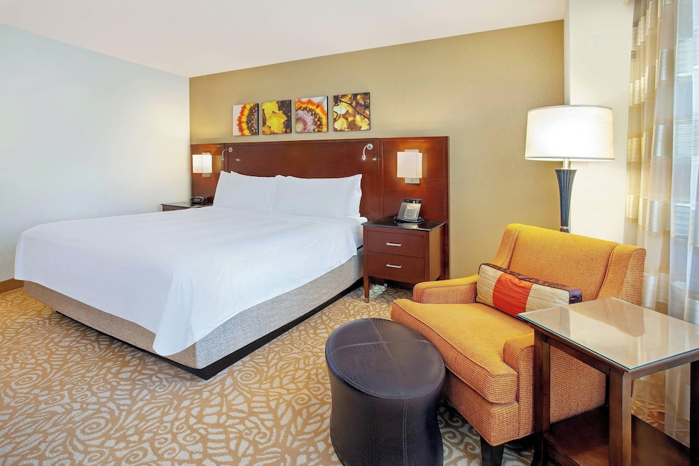 Room, 1 King Bed (Mobility Accessible, Roll-in Shower) photo 1