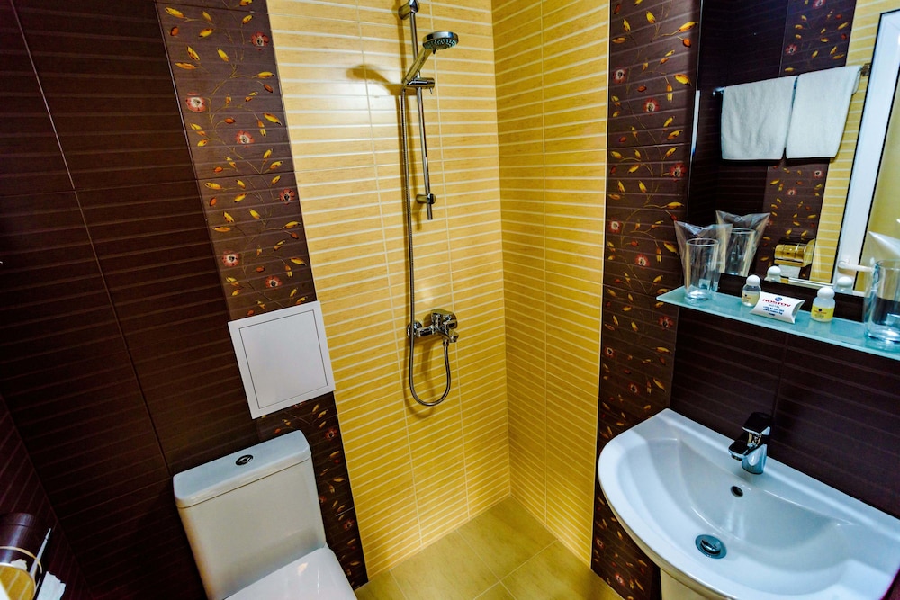 Deluxe Single Room photo 3