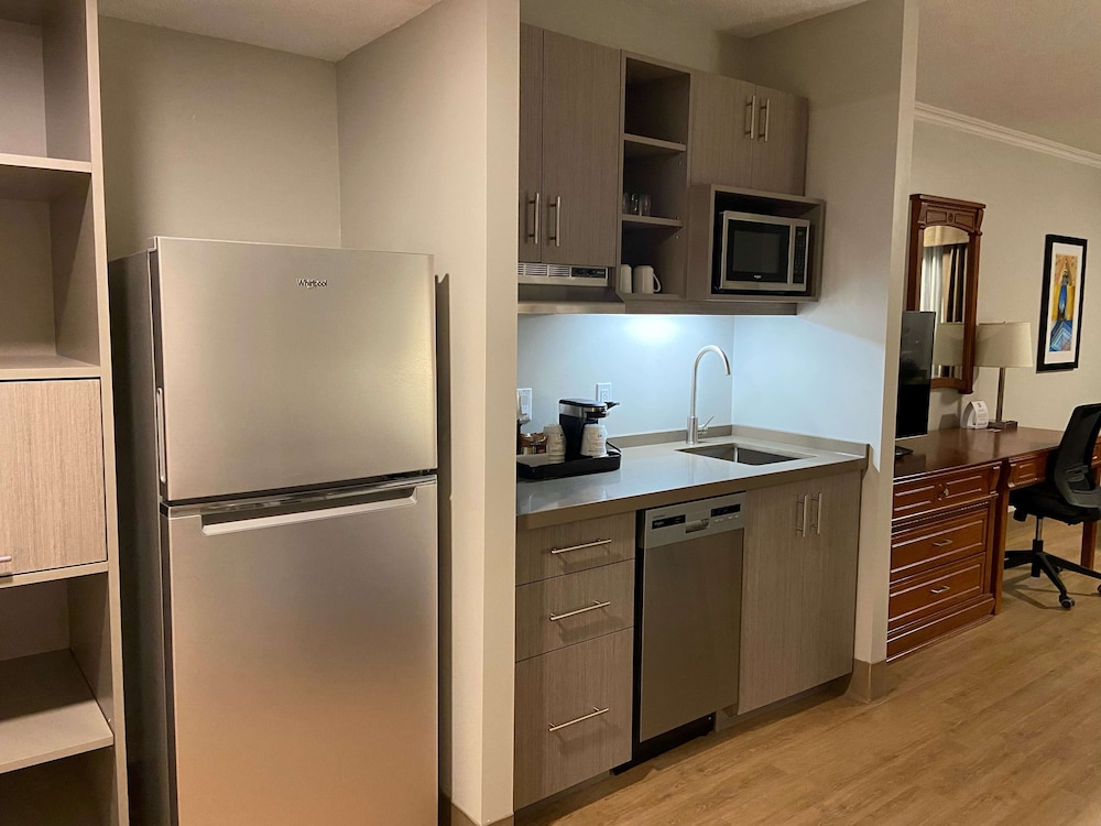 Standard Studio, 1 King Bed, Non Smoking, Kitchen (Full Kitchen)