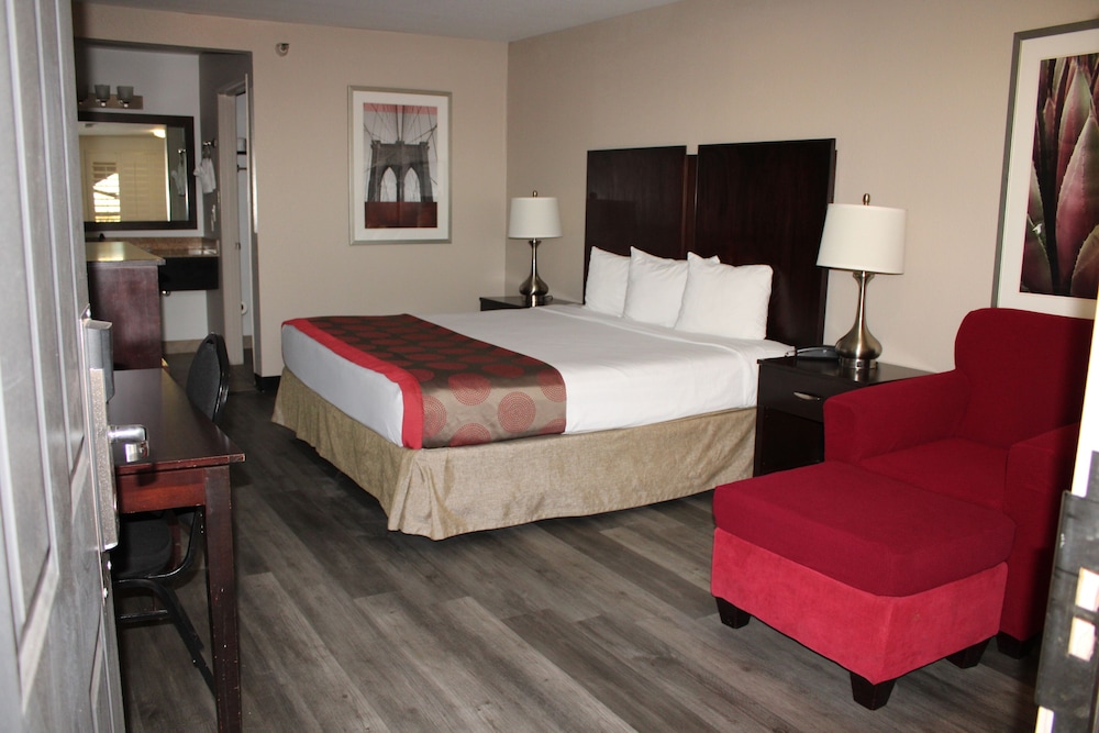 Comfort Room, 1 King Bed, Non Smoking, Allergy Friendly - Photo 1