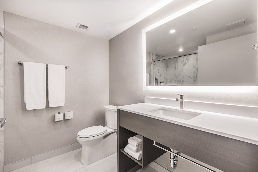 Suite, 1 King Bed with Sofa bed