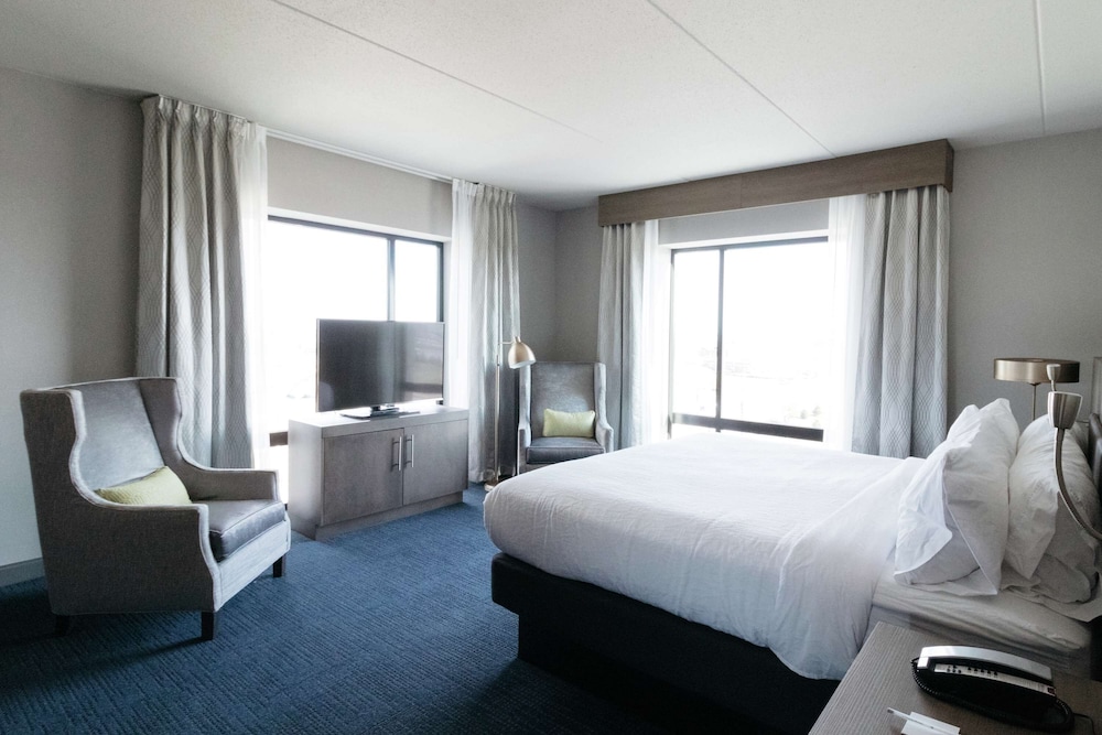 Suite, 1 Bedroom photo 3