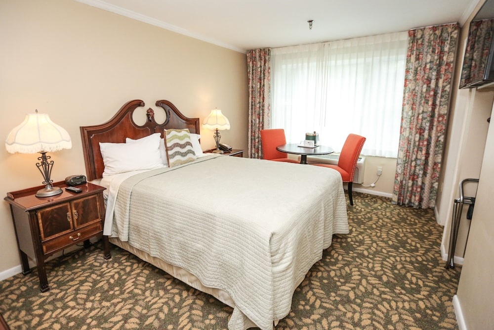 Standard Single Room - Photo 1