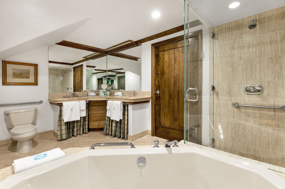 Blue Spruce Junior Suite 1 King ADA - Photo 4