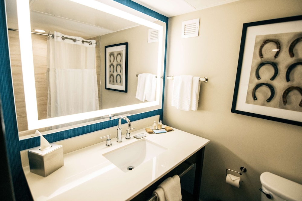 Suite, 1 King Bed (Mobility & Hearing, Roll-in Shower) - Photo 6