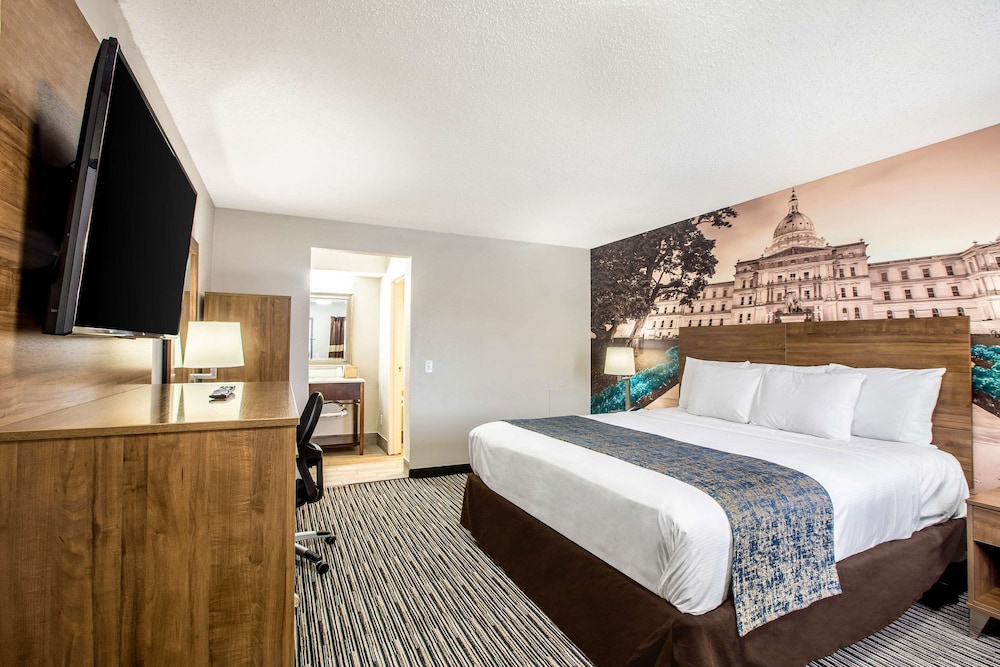 Standard Room, 1 King Bed, Non Smoking