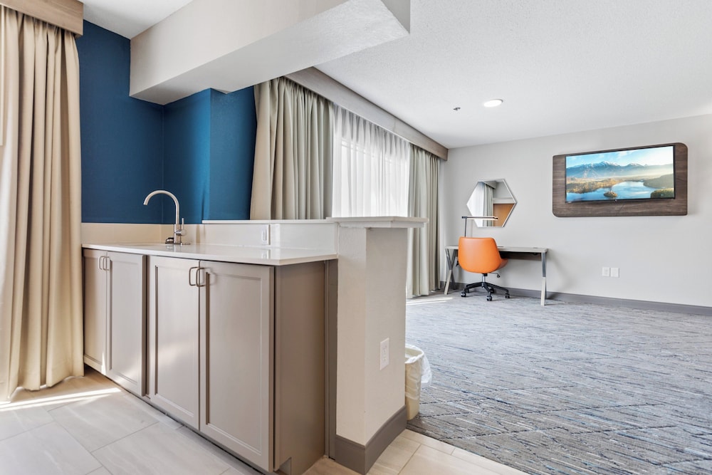 Suite, 1 Bedroom, Kitchen (1 King, Sofa Bed, Living Area) photo 3