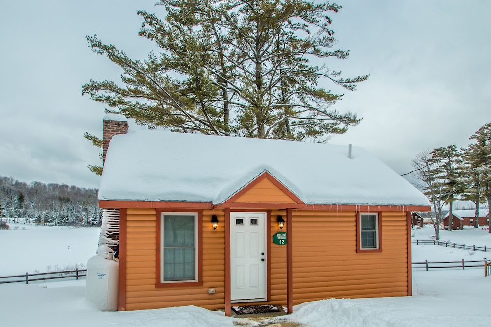 Chestnut Studio 12: Cozy Lakefront Cabin Retreat