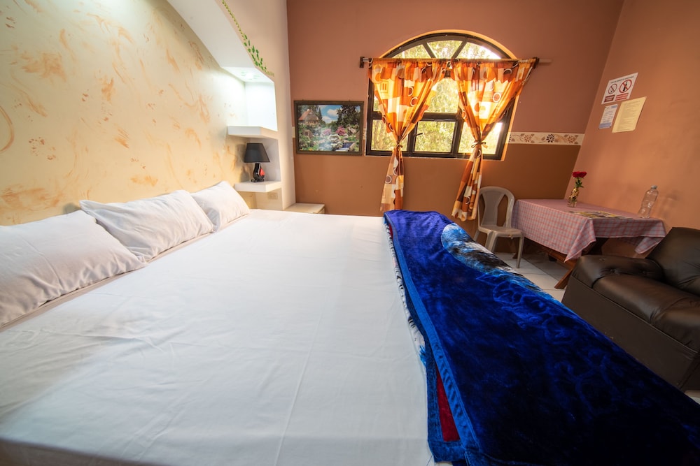 Basic Single Room photo 2