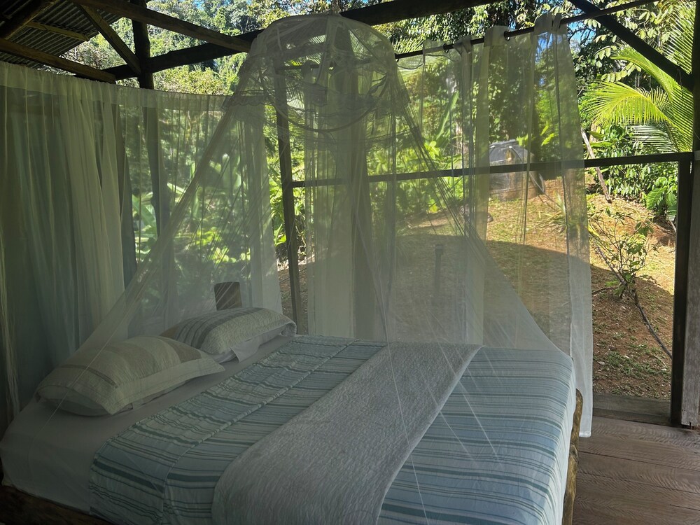 Room, Garden View