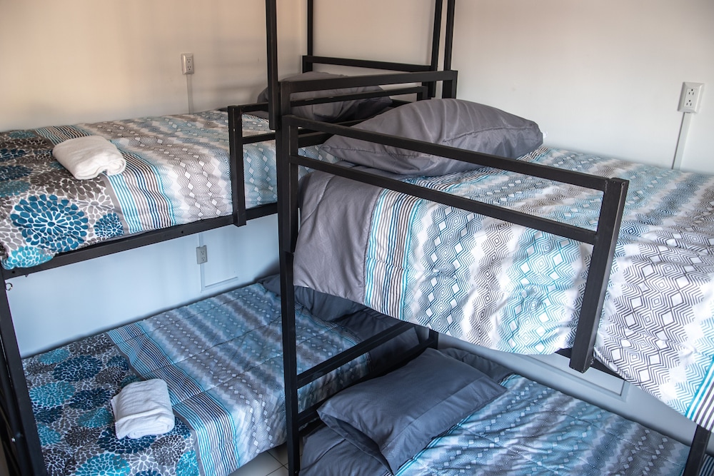 Basic Shared Dormitory photo 1