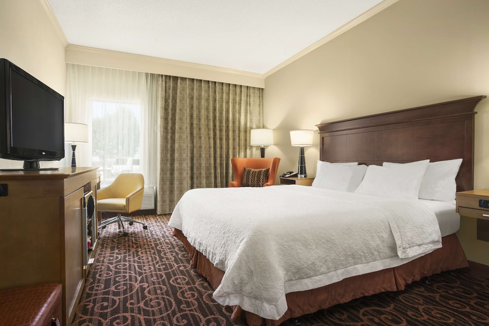 Room, 1 King Bed, Accessible
