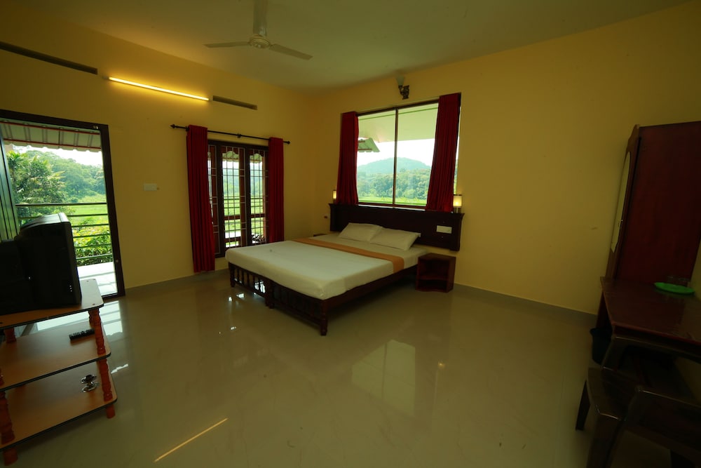 Deluxe Room with Private Balcony photo 3