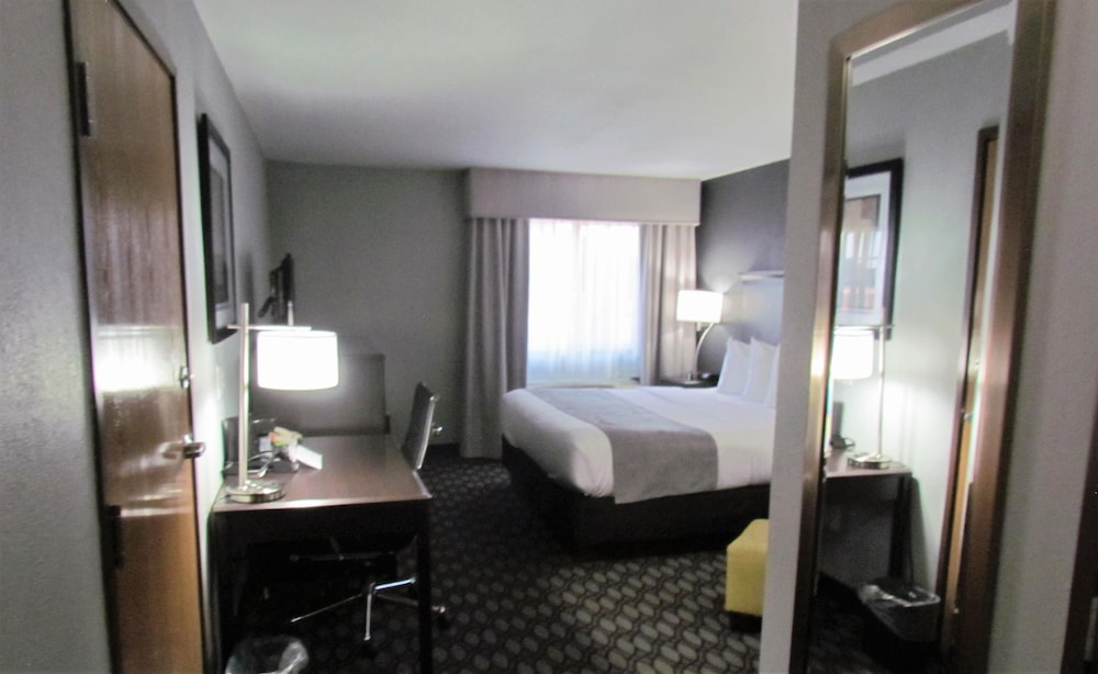 Standard Room, 1 King Bed, Accessible, Non Smoking photo 2