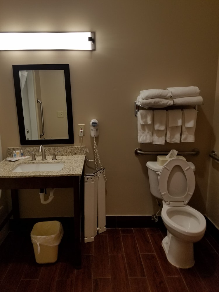 Suite, 1 King Bed, Accessible, Non Smoking - Photo 6