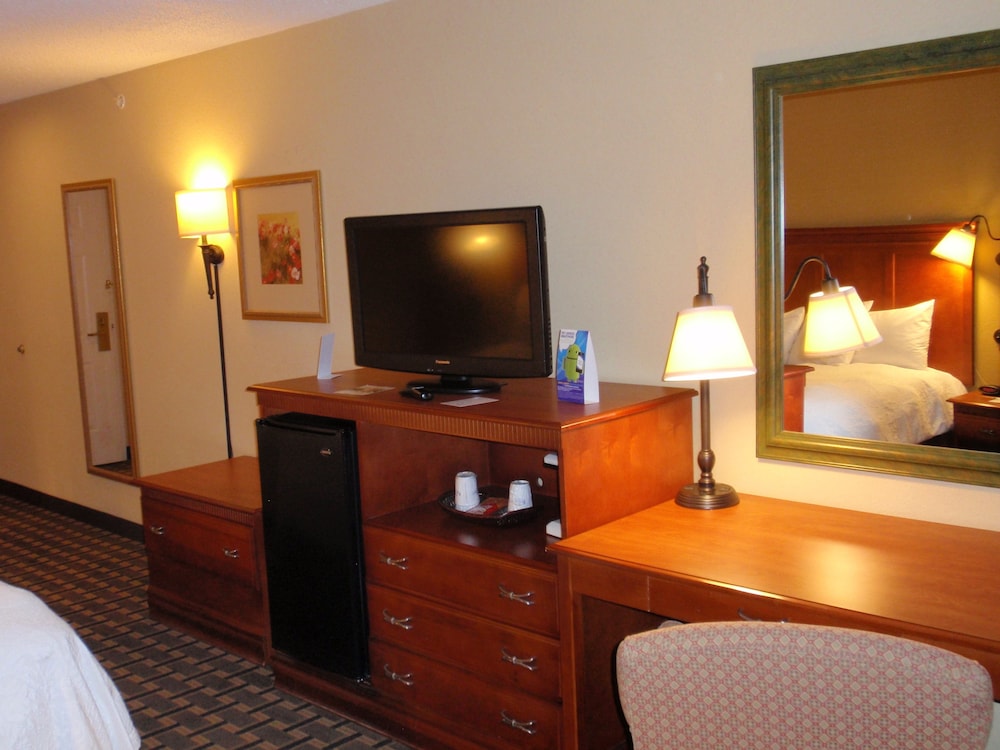 Room, 1 King Bed, Accessible, Non Smoking (Mobility,Hearing,Tub w/Grab Bars) - Photo 8