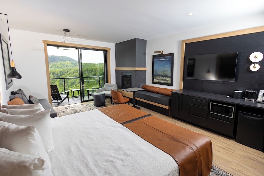 Elite Studio, 1 King Bed with Sofa bed, Fireplace, Partial Lake View photo 1