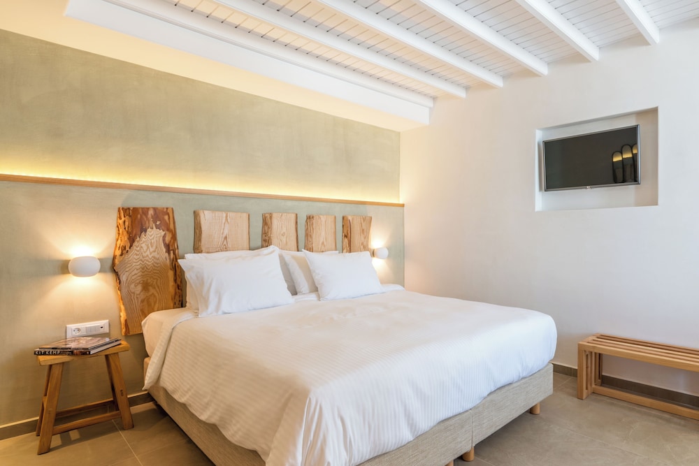 Grand Studio Suite photo 3