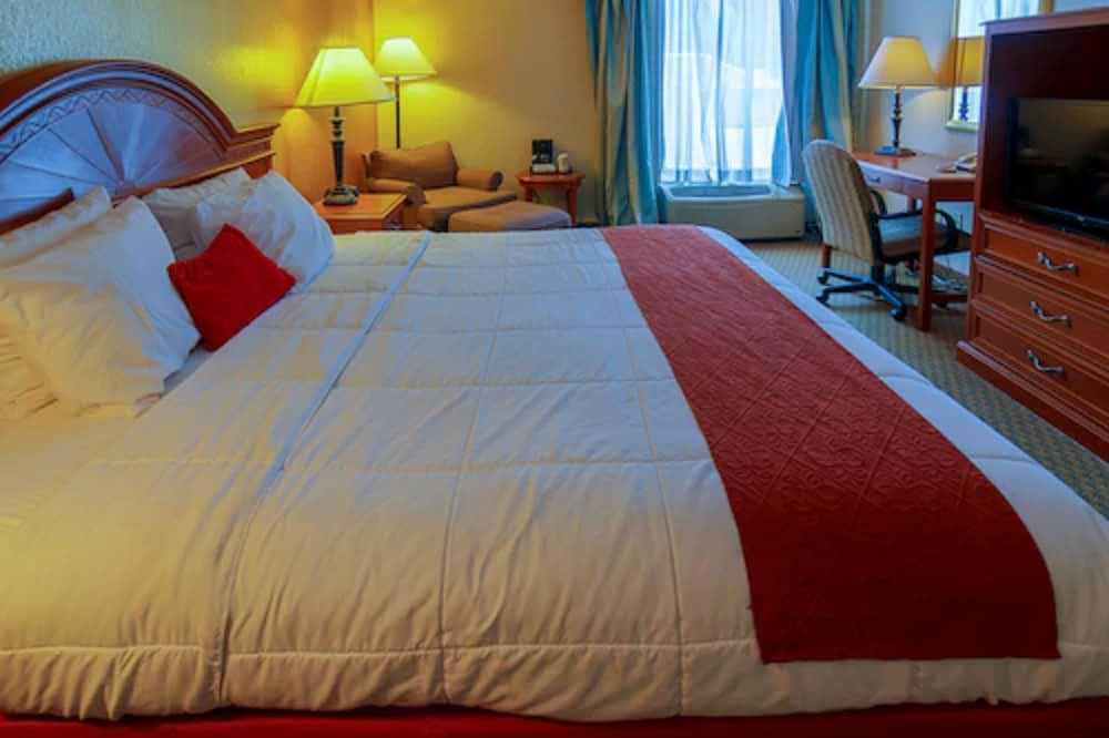 Room (One King and 1 Bunk Bed) photo 3