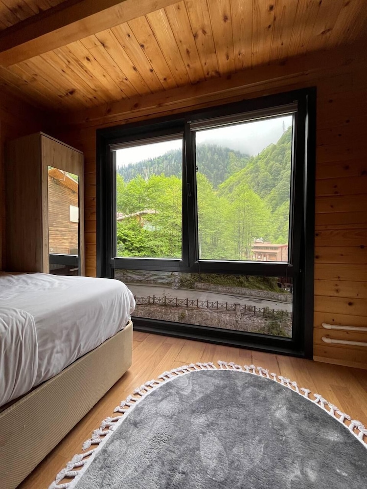 Standard Room, Mountain View photo 3