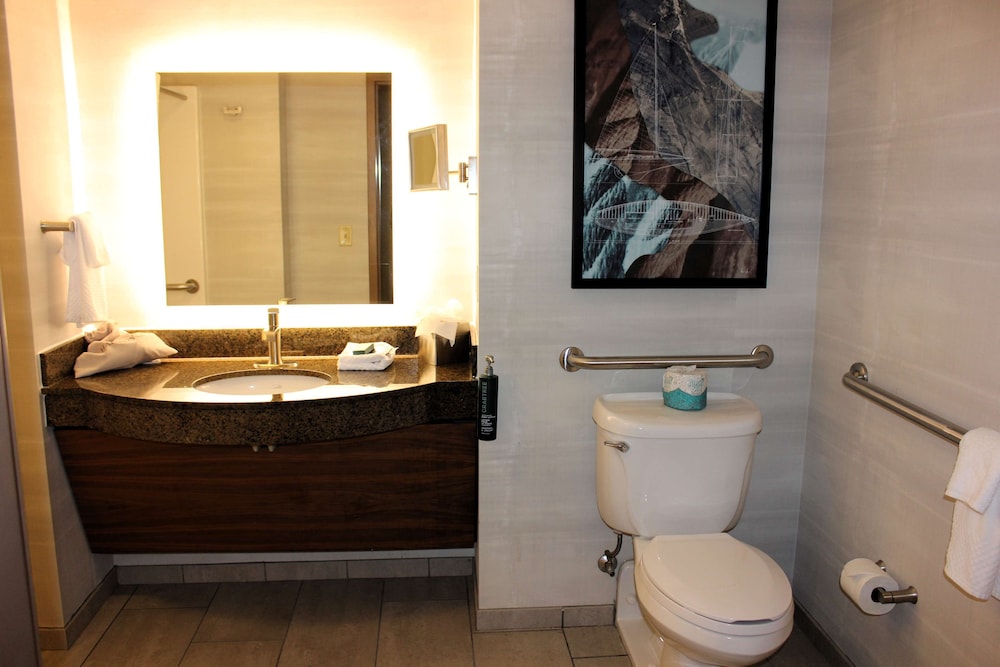Room, 1 King Bed, Accessible, Non Smoking (Mobility & Hearing, Bathtub) - Photo 5