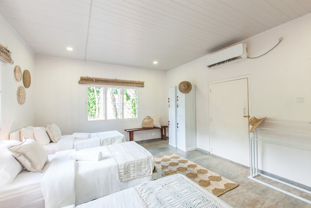 Standard Shared Dormitory photo 2