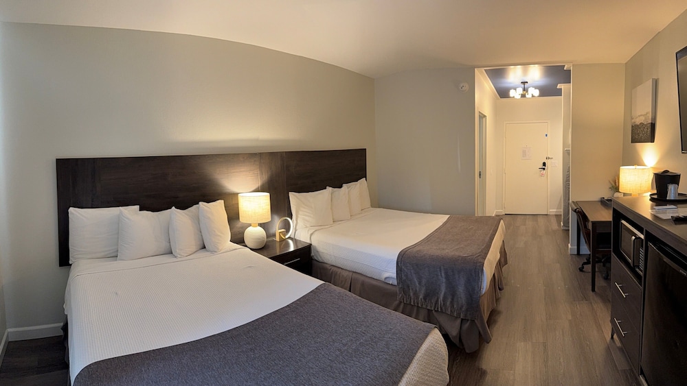 Deluxe Double Room photo 2