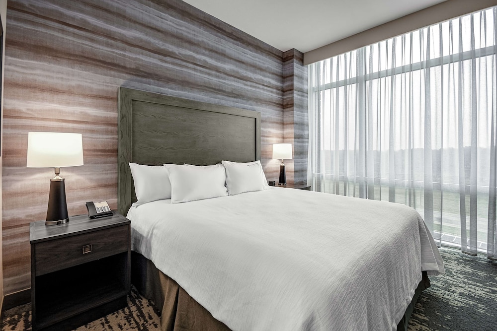 Suite, 1 King Bed