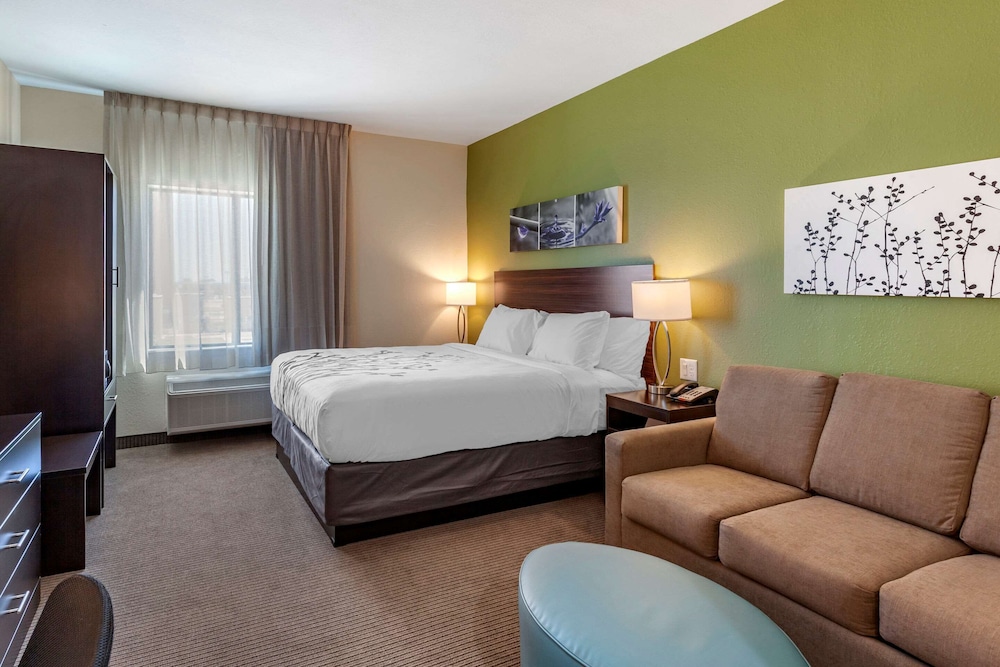 Suite, 1 King Bed with Sofa bed, Non Smoking (Efficiency) - Photo 1
