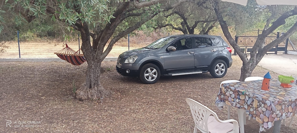 Basic Villa photo 3