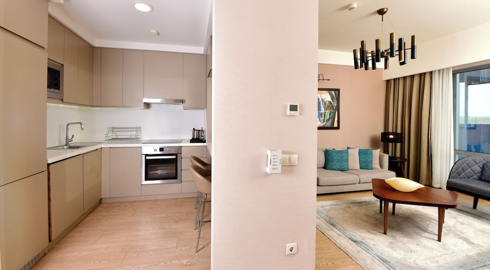 Executive Apartment, 1 Bedroom (with View) photo 3