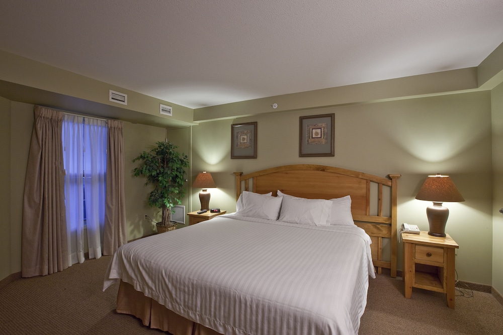 Suite, 1 Bedroom photo 1