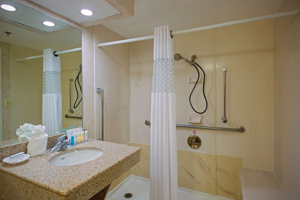 Room, 1 Queen Bed, Accessible (Roll-In Shower) - Photo 4