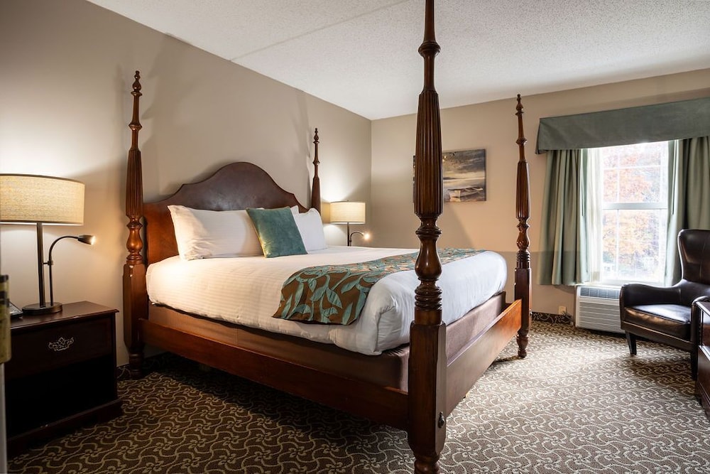 Suite, 1 Bedroom - Photo 1