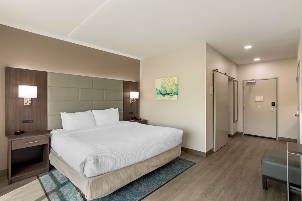 Standard Room, 1 King Bed, Non Smoking, Refrigerator & Microwave - Photo 1