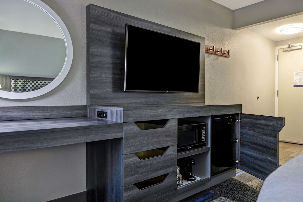 Room, 1 King Bed, Accessible (Mobility & Hearing, 3x3 Shower) - Photo 2
