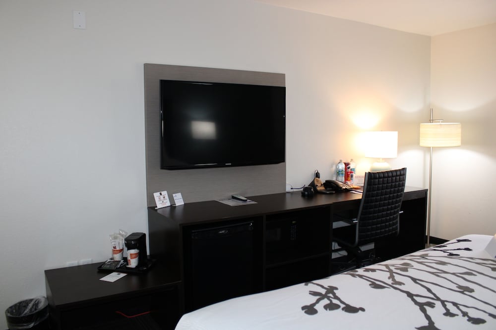 Room, 1 King Bed, Accessible, Non Smoking (Mobility, Roll-in Shower) - Photo 7