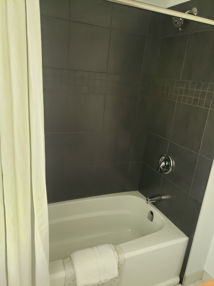 Premium Cabin - Photo 5