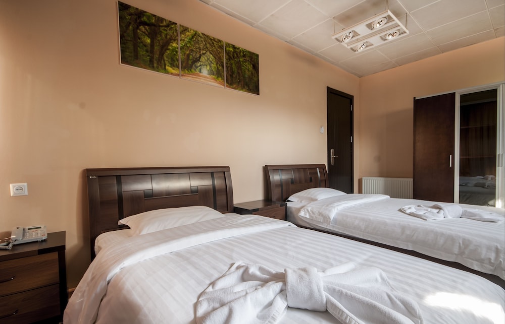 Deluxe Twin Room photo 2